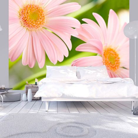 Papier peint rose à deux fleurs de gerbera - 300 x 230 cm (1/4)