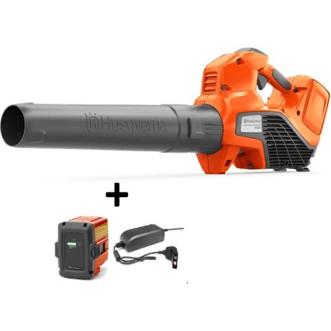Husqvarna Soffiatore 120iB con batteria e caricabatterie 9,6 N 36 Volt (1/10)