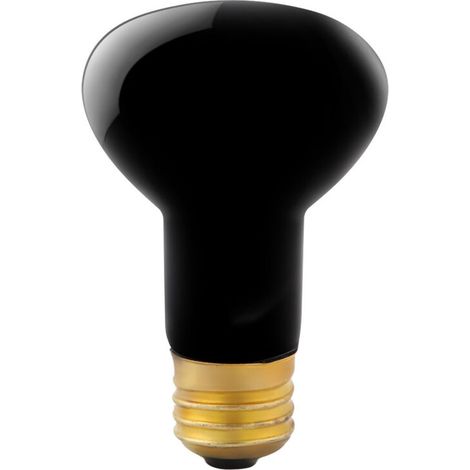 Ampoule Chauffante E27 100W pour Reptiles et Amphibiens, Lampe Émettant une Lumière Nocturne Simulée Lune, 110V (1/5)