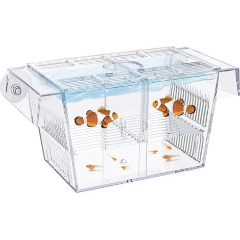 Incubation Box, Clear Acrylic, 3 Compartments, Suction Cups Included, For Betta and Guppy Aquariums (1/5)