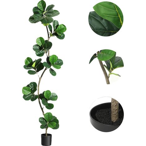 Albero di fico a foglia di violino artificiale, foglie realistiche, vaso incluso, 2,13 m (7 piedi) (1/2)