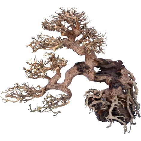 Amtra - Legno Oriental Wind 7, fatto a mano, per acquario, 25X10X20 CM (1/3)