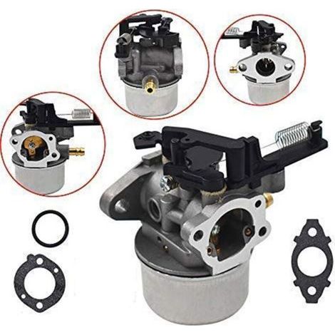 Carburateur pour Moteur Briggs & Stratton Modèles 111P02 111P07 590948 591137 (1/4)