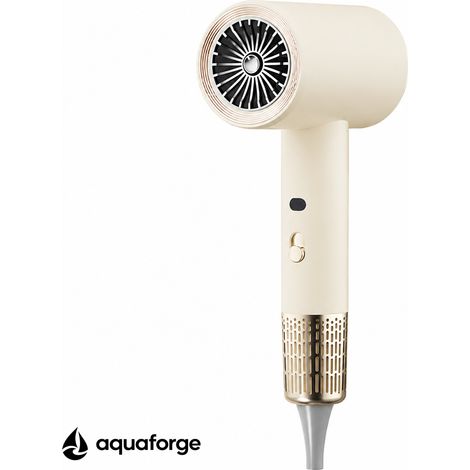 Sèche cheveux professionnel sans balais moderne 1600 W (1/5)
