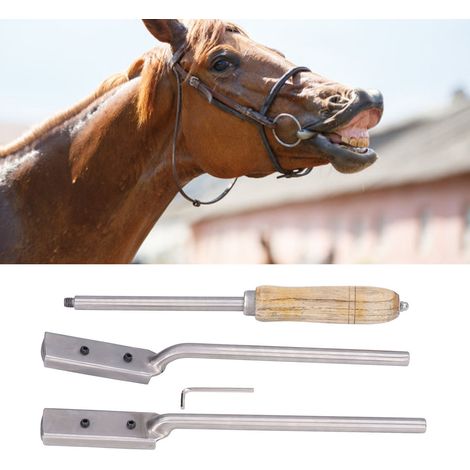 Brosse dentaire réglable, lime à dents pour chevaux, outils vétérinaires doubles à angle droit pour chevaux (1/5)