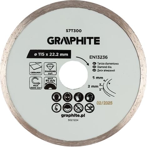 DISCO DIAMANTATO Ø 100 mm - foro 22,2 mm Ø 100 mm - foro 22,2 mm