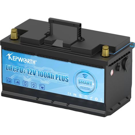 Batterie au Phosphate de Fer Lithium, Options de Tension Polyvalentes, Longue Durée de Vie du Cycle, 12V 100Ah bluetooth (1/2)