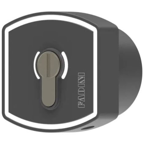 fadini selettore a chiave da incasso mezzo cilindro zero.ek 145l