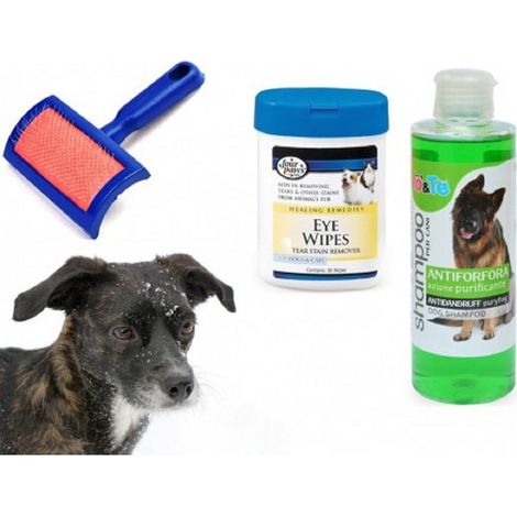 Trade Shop - Kit Pulizia Cani Shampoo Azione Purificante Salviettine Spazzola Cardatore Antiforfora - (1/2)