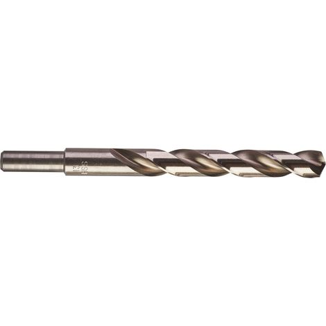 PUNTE METALLO HSS- G - DIN 338 DIAMETRO 13 LUNGHEZZA 151 LUNGHEZZA UTILE 101 PEZZI A CONFEZIONE 5 cod 4932352405 (1/3)