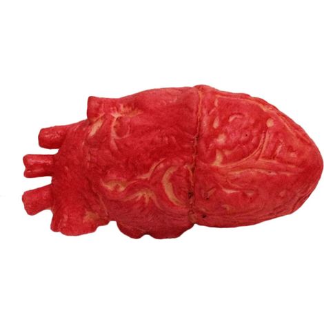 Cœur Humain Faux Taille Réelle en Latex Sanguinolent pour Accessoires Horreur Halloween (1/5)