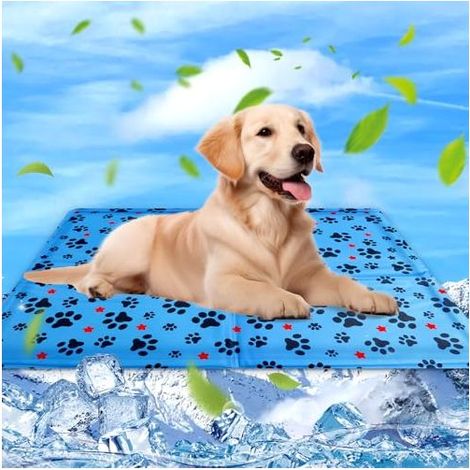 Tapis Rafraichissant Chien & Chat Coussin Rafraichissant pour Chien, Tapis Refrigerant pour Animaux, Étanche et Facile à Nettoyer, Convient aux Petits et Grands Chien de Compagnie, 60×50cm