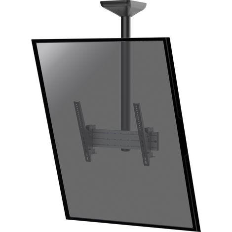 Support plafond inclinable pour 1 écran portrait 43''-75'' - Hauteur 100cm (1/3)