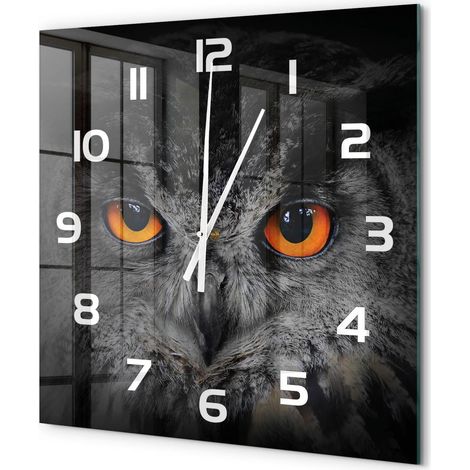 Grande Horloge Murale Carrée en Verre Trempé Silencieuse Design Moderne Salon Cuisine Hibou 60x60 cm (1/5)