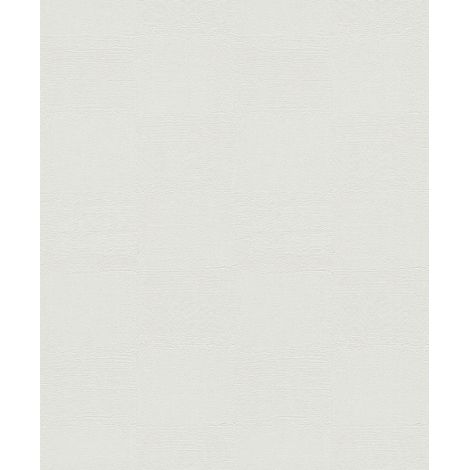 5610 - Patent Decor Terra 10,05x0,53m - Decorama