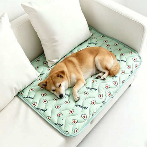 Tappetino rinfrescante per gatti e cani di piccola taglia, tappetino auto-rinfrescante traspirante e refrigerante per animali domestici, cuccia e materassino per dormire per cani, verde XS: 40 x 30 cm (1/5)