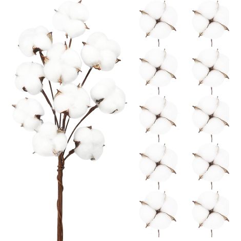 Lot de 20 bouquets de fleurs séchées en coton naturel, 10 tiges longues blanches et 10 têtes de bouquets en coton pour décoration de vases, mariages et fêtes (1/5)