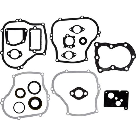 Briggs & Stratton engine gasket set 496659 (replaces part number 297616) (1/5)