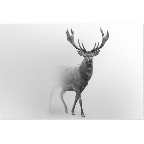 Affiche Cerf dans le brouillard - 60x40cm - made in France (1/5)