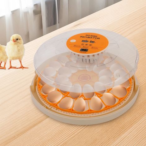 Incubateur entièrement automatique 30 œufs Appareil à couver couver Incubateur automatique pour poulet, canard, œufs d'oie (1/5)