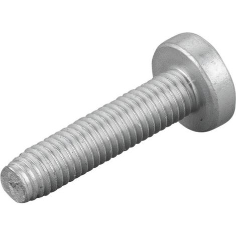 Linsenschraube 083136