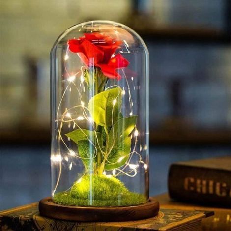 Rose Éternelle - Dôme En Verre Borosilicate - Base En Bois De Pin - Lumière LED Intégrée - Hauteur 21,1 Cm - 1 Pièce (1/4)