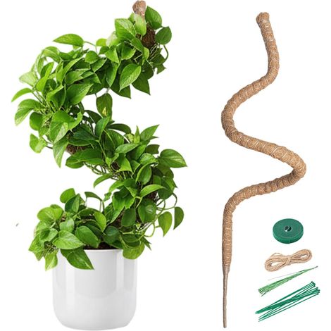 1 - Tuteur Plante - Fibre De Coco - Flexible Et Personnalisable - Support Pour Plantes Grimpantes - Intérieur Et Extérieur - Marron - 150x5cm