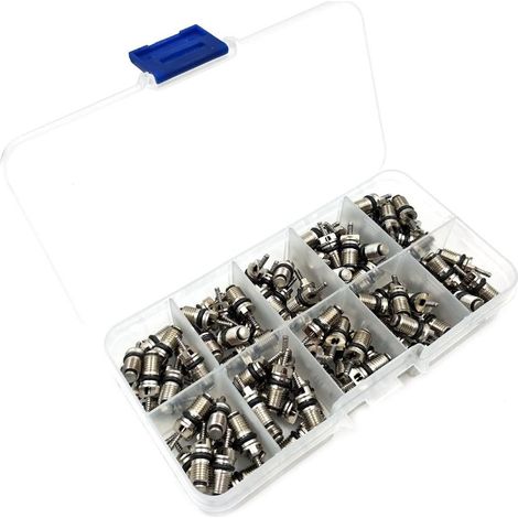 Lot de 100 composants de climatisation automobile R134 : noyau de valve interne, soupape de décharge haute et basse pression. (1/4)
