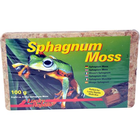 Lucky Reptile Muschio Sphagnum Moss - 100 g per Terrario Rettile - Aumenta Umidità - Per Orchidee e Bromelia - Accessori
