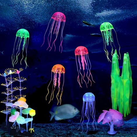 Ensemble de 6 Décorations Lumineuses pour Aquarium Plantes et Coraux en Silicone Anémones Luminaires Algues Méduses Fougères Corail Autres (1/5)