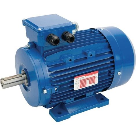 Moteur électrique 3 kW UNIVERSEL EM100LB4B3300IE3A (1/4)