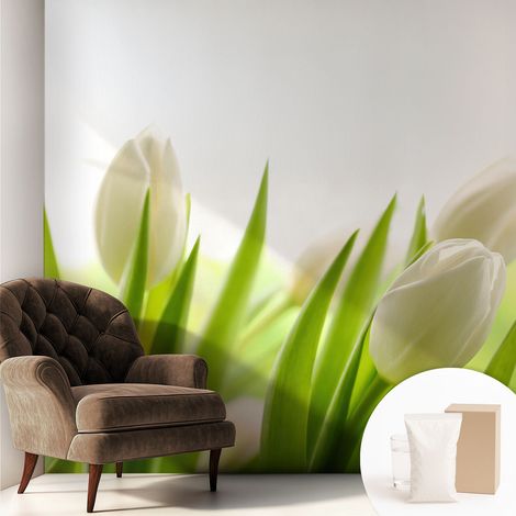 Fototapete - Tapete Vliestapete mit Kleber - Wandtapete Moderne Wandbild Schlafzimmer Wohnzimmer Weiße Tulpen 250x250 cm (1/5)