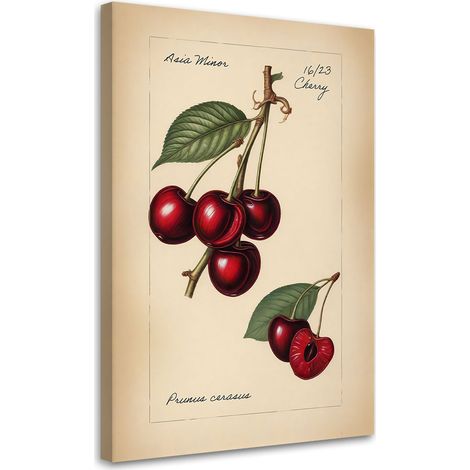 Tableau sur toile Tableau sur toile Fruits Vintage Cerise 60x90 (1/5)