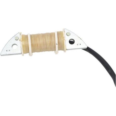 Bobine d'allumage hors-bord robuste en métal, installation facile, légère et compacte, pour moteurs 2T de 9,9 à 15 CV (pièce de rechange) (1/5)