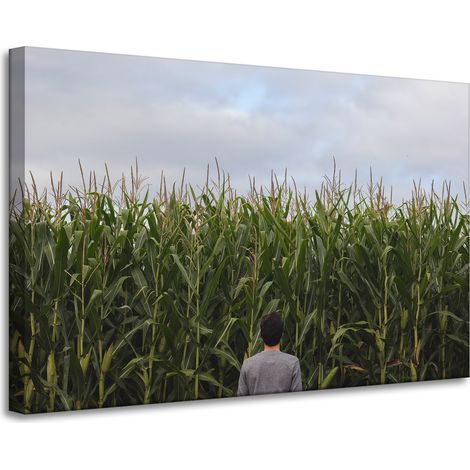 Lienzo impreso Naturaleza Campo de maíz 90x60 cm