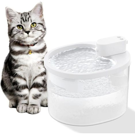 Distributeur d'eau sans fil à induction intelligent pour chat, distributeur d'eau automatique pour animaux de compagnie, distributeur d'eau à circulation mobile infrarouge non branché, CREA