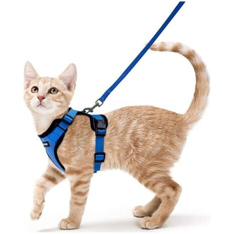 BUNTHAUS Harnais Chat Petit Chien Laisse Harnais Chaton Réglable Bleu S Collier Harnai Chat Refléchissant Gilet Respirant pour Lapin, Chat Européen, Maine Coon, Persan, Attache Dessus avec Laisse-Enso (1/5)