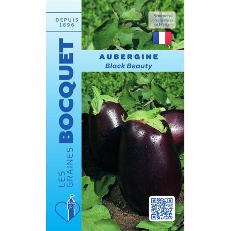 Aubergine Black Beauty - 1g