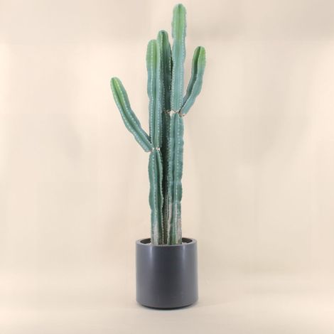 Cactus erytréa artificiel 167cm (1/4)