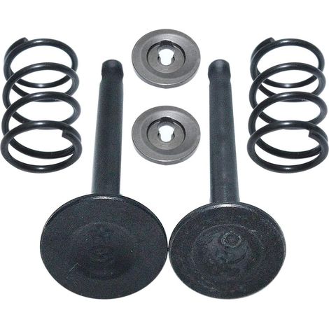 Ensemble de ressorts de retenue de soupape d'admission et d'échappement compatible avec moteur Honda GX25 HHT25S FG110 Remplace 14711-Z0H-000. (1/5)