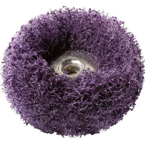 S512 Lot de 2 Tampons abrasifs 25mm Grain 320 pour poncer des éléments irréguliers (1/2)