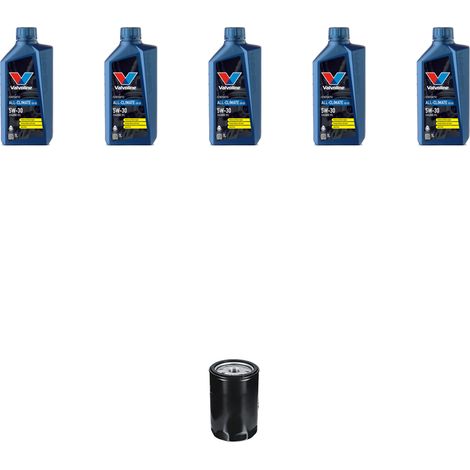 Kit filtro olio e 5L compatibile con Seat Leon 1.8 20V Turbo 132Kw dal 1999 al 2005 (1/2)