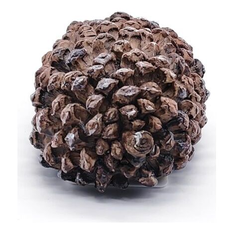 Boîte à Clés en Forme de Pommes de Pin Pour l'Extérieur - Cache-Clé Secret Aspect Pierre Véritable Pour Rangement d'Extérieur (1/5)