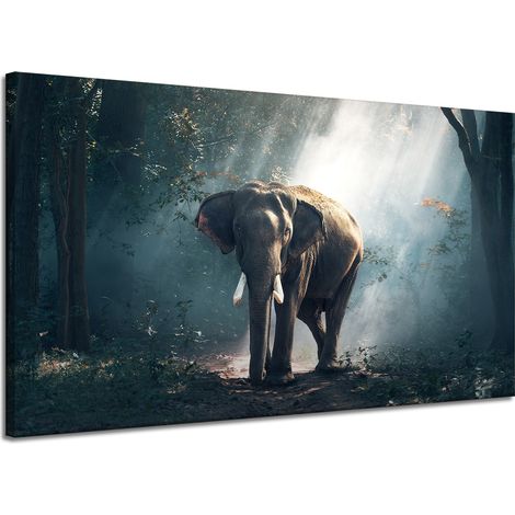Leinwanddruck Tiere Elefant 120x70 cm