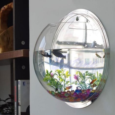 Aquarium - Bol À Poissons En Acrylique - Décoration Murale Suspendue Pour Intérieur - Blanc - 1 Pièce (1/3)
