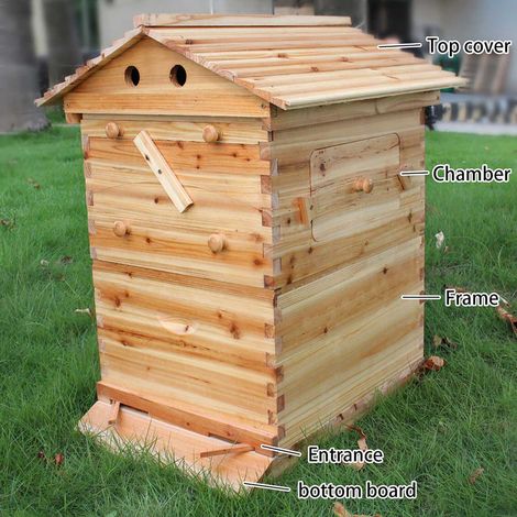 Ruche Boîte à Couvain Super Apiculture 7 Cadres Automatiques Abeilles Miel (1/5)