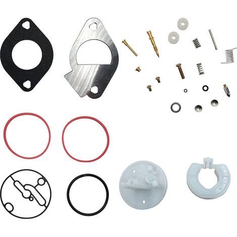 Kit Réparation Carburateur Briggs Stratton 796184, Joints et Membrane pour Tondeuse Moteur, Pièce de Rechange et Entretien (1/5)