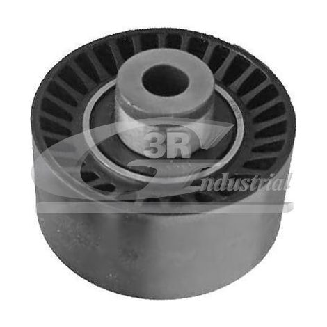 3RG 13310 RODILLO TENSOR