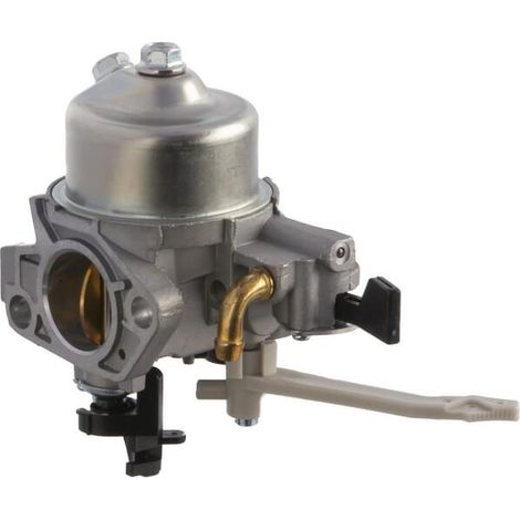 Carburateur BRIGGS ET STRATTON 799882 (1/2)
