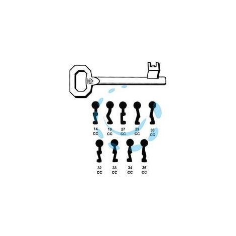 CHIAVI PASSEPARTOUT PATENT PER SERRATURE A BUSSOLA CORNI - 34 CC